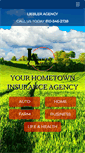 Mobile Screenshot of liebleragency.com